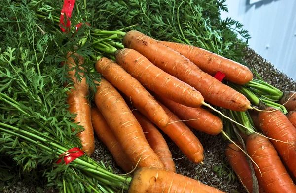 Fresh Carrots — Stock Photo, Image