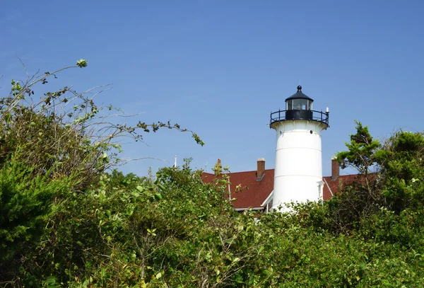 Nobska punt licht, Cape Cod — Stockfoto