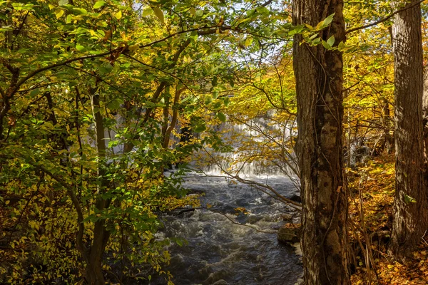 Autumn Woodland Falls — Stock Photo, Image