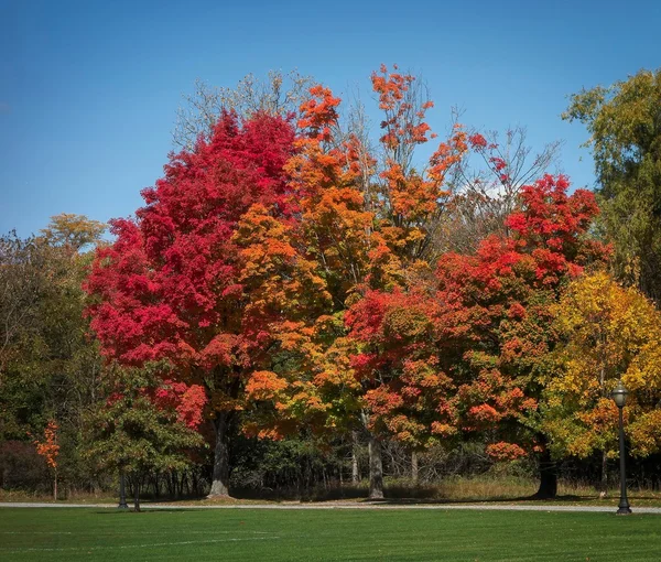 Catskill Mountains Landscape — Stock Photo, Image