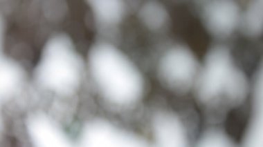 Bokeh ışık arka plan bulanıklık