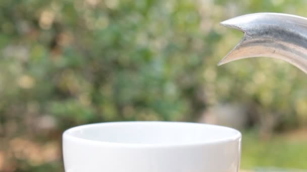 Ζεστό ρόφημα, ρίχνει σε λευκό τσάι Κύπελλο σε φόντο πράσινο δέντρο προβολή με μεγέθυνση — Αρχείο Βίντεο
