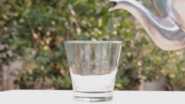 Thé chaud versé dans le verre sur fond d'arbre vert — Video