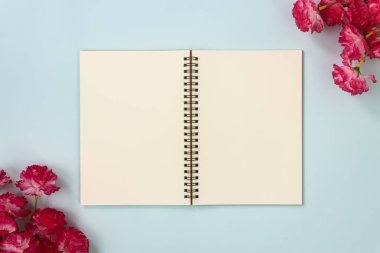 Üst Tablo Spiral Not Defteri veya Mavi Pastel Minimalist Arkaplanda Alt Sol ve Üst Sağ Köşedeki Çizgisiz Çerçeve ve Kırmızı Çiçekler Üzerine Çizgisiz Not Defteri