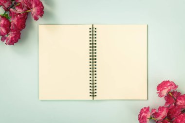Üst Tablo Spiral Not Defteri ya da Çizgisiz Not Defteri Orta Çerçeve ve Kırmızı Çiçekler Üzerinde Mavi Pastel Minimalist Arkaplanda Alt Sol ve Üst Sağ Köşede