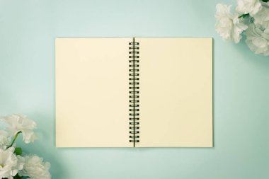 Üst Tablo Spiral Not Defteri ya da Çizgisiz Not Defteri Orta Çerçeve ve Beyaz Çiçekler Üzerinde Mavi Pastel Minimalist Arkaplanda Alt Sol ve Üst Sağ Köşede