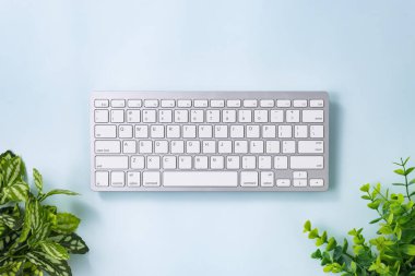 Beyaz Taşınabilir Bilgisayar Klavye Tuşları veya Klavye Düğmesi ve Ağacı veya Mavi Pastel Minimalist Arkaplanda Bitki