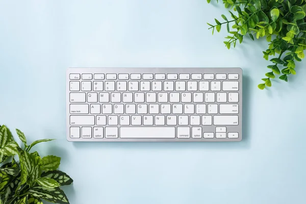 White Portable Computer Keyboard Keys or Keyboard Button and Tree or Plant at Top Right and Bottom Left Corner on Blue Pastel Minimalist Background