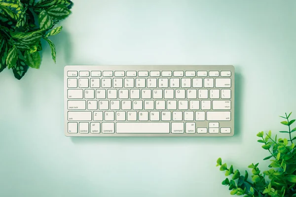 Teclado Computadora Portátil Blanco Teclas Botón Teclado Árbol Planta Esquina — Foto de Stock