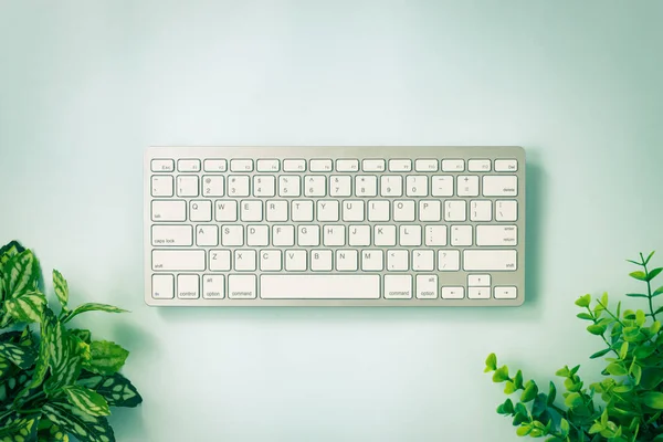 Teclado Computadora Portátil Blanco Teclas Botón Teclado Árbol Planta Parte — Foto de Stock