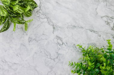 Modern Clean Flat Lay veya Üst Görünüm Ofis Masası veya Ofis Bitkileri veya Mermer Minimalist Arkaplanda Üst Sol ve Alt Sağ Köşedeki Ağaç