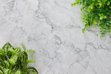 Modern Clean Flat Lay veya Üst Görünüm Ofis Masası veya Ofis Bitkileri veya Mermer Minimalist Arkaplanda Alt Sol ve Üst Sağ Köşedeki Ağaç