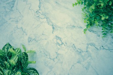 Modern Temiz Düz Yatay veya Üst Görünüm Ofis Masası veya Ofis Masası ve Ofis Bitkileri veya Vintage Ton Mermer Minimalist Arkaplanda Alt Sol ve Üst Sağ Köşedeki Ağaç