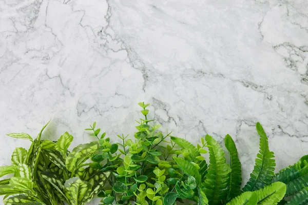 Modern Clean Flat Lay veya En İyi Görünüm Ofis Masası veya Ofis Masası ve Ofis Bitkileri veya Marble Minimalist Arkaplan Altında Ağaç
