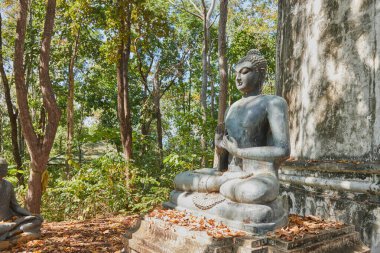 Phayao, Tayland - 29 Kasım 2020: Zoom View Buddha Heykeli Wat Analayo Tayland Tapınağında Orman Arkaplanı Üzerine İlk Vaazı Veriyor
