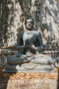 Phayao, Tayland - 29 Kasım 2020: Wat Analayo Tayland Tapınağı 'nda Yeşil Orman Hakkında İlk Vaazı veren Ön Portre Buda Heykeli