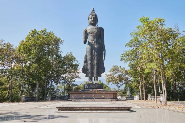Phayao Ταϊλάνδη Νοέμβριος 2020 Ευρεία Γωνία Βούδας Ειρηνοποιώντας Συγγενείς Άγαλμα — Φωτογραφία Αρχείου