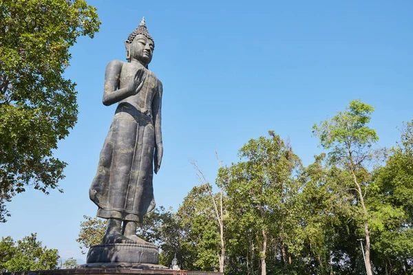 Phayao Ταϊλάνδη Νοέμβριος 2020 Ευρύ Γωνιακό Μέτωπο Δεξιά Βούδας Ειρηνοποιώντας — Φωτογραφία Αρχείου