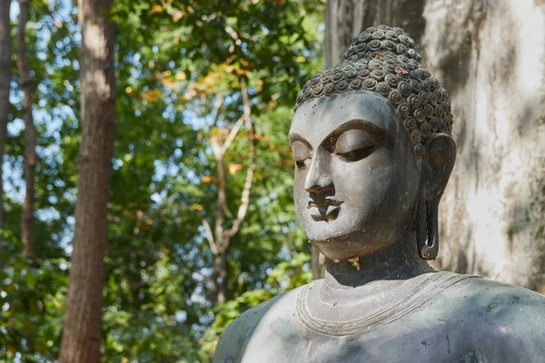 Phayao Tajlandia Listopada 2020 Zdjęcie Głowy Posąg Buddy Zielonym Tle — Zdjęcie stockowe