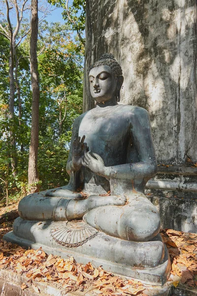 Phayao Thailandia Novembre 2020 Statua Del Buddha Ritratto Che Primo — Foto Stock