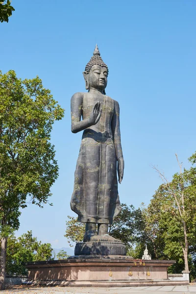 Phayao Thajsko Listopadu 2020 Portrét Pravý Buddha Pacifikační Příbuzní Socha — Stock fotografie