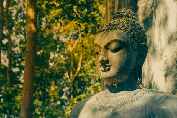 Phayao Таїланд Nov 2020 Headshot Buddha Statue Green Forest Background — стокове фото