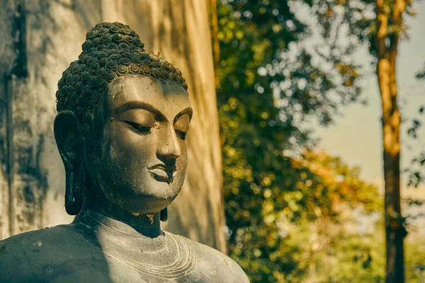 Phayao Thailand Nov 2020 Left Frame Headshot Buddha Statue Green — Stock Photo, Image