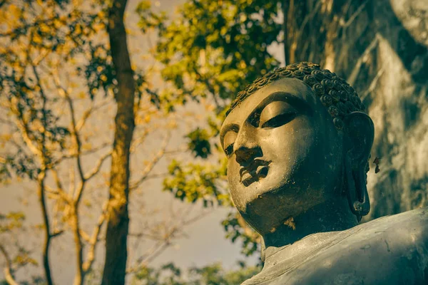 Phayao Thailand Nov 2020 Low Angle Headshot Buddha Statue Right — Stock Photo, Image