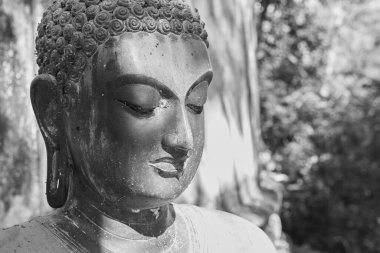 Phayao, Tayland - 29 Kasım 2020: Wat Analayo Tayland Tapınağı Yeşil Orman Arkaplanındaki Sol Çerçeve Siyah ve Beyaz Yüksek Açılı Buda Heykeli