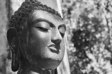 Phayao, Tayland - 29 Kasım 2020: Wat Analayo Tayland Tapınağı 'ndaki Yeşil Orman Arkaplanındaki Sol Çerçeve Siyah ve Beyaz Zum Görünümü Buda Heykeli