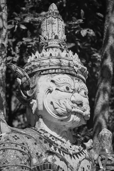 Phayao Thailand Nov 2020 Black White Portrait Headshot White Titan — Stock Photo, Image