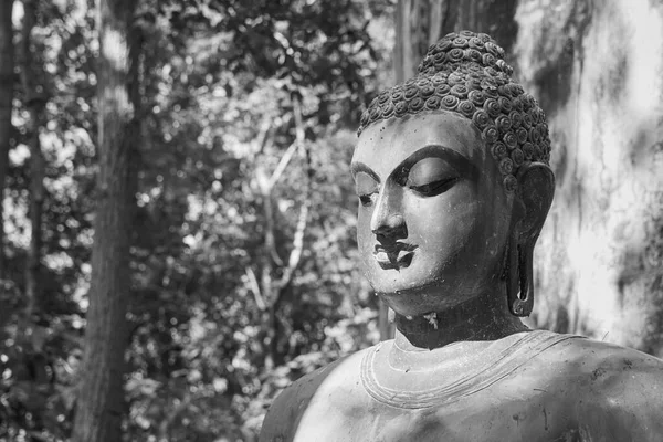 Пхаяо Таиланд Ноября 2020 Года Черно Белая Статуя Будды Фоне — стоковое фото