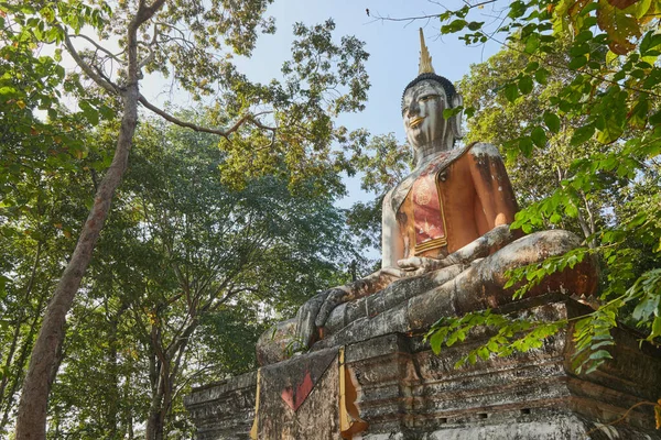 Phayao Thajsko Prosince 2020 Socha Buddhy Zeleném Lese Pozadí Modré — Stock fotografie