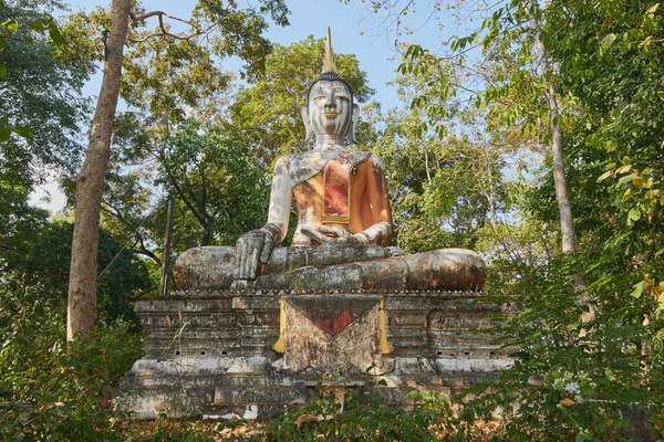 Phayao Thajsko Prosince 2020 Socha Buddhy Zeleném Lese Pozadí Modré — Stock fotografie