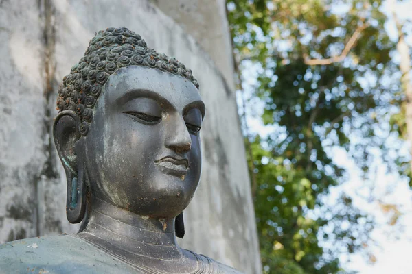 Phayao Thailand Dec 2020 Front Right Headshot Buddha Statue Forest — Stock Photo, Image