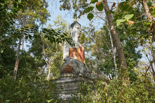 Phayao Tailândia Dec 2020 Frente Direita Meditação Estátua Buda Floresta — Fotografia de Stock