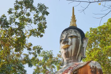 Phayao, Tayland - 6 Aralık 2020: Wat Analayo Tapınağı 'nda Yeşil Orman' da Sol Ön Buda Heykeli ve Mavi Gökyüzü Arkaplanı