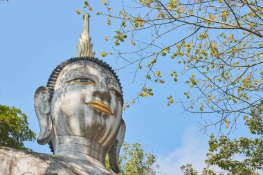 Phayao, Tayland - 6 Aralık 2020: Wat Analayo Tapınağı 'nda Sol Çerçeve' de Ön Ön Sağ Meditasyon Buda Heykeli ve Mavi Gökyüzü Arkaplanı