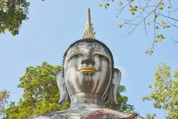 Phayao Thajsko Prosince 2020 Socha Buddhy Zeleném Lese Pozadí Modré — Stock fotografie