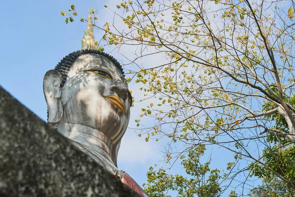 Phayao Ταϊλάνδη Δεκ 2020 Χαμηλή Γωνία Μπροστά Δεξιά Άγαλμα Του — Φωτογραφία Αρχείου