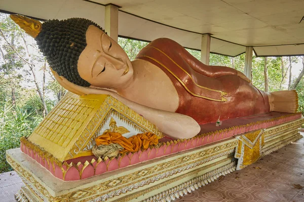 Phayao Thailandia Dicembre 2020 Buddha Sdraiato Sfondo Della Foresta Verde — Foto Stock