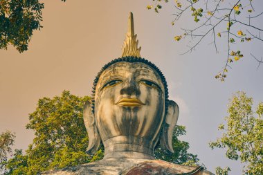 Phayao, Tayland - 6 Aralık 2020: Yeşil Orman 'daki Ön Buda Heykeli ve Wat Analayo Tapınağı' ndaki Mavi Gökyüzü Arkaplanı