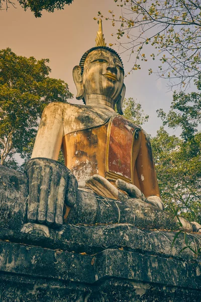 Phayao Thajsko Prosince 2020 Portrétní Meditační Socha Buddhy Zeleném Lese — Stock fotografie