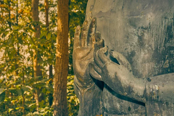 Phayao Thailanda Dec 2020 Statuia Lui Buddha Fundalul Pădurilor Templul — Fotografie, imagine de stoc