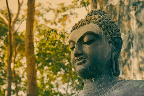 Phayao Таїланд Dec 2020 Headshot Front Left Buddha Statue Giving — стокове фото