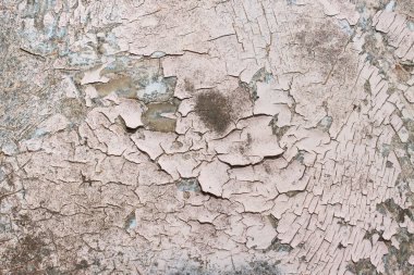 Metal Sayfanın Soyulmuş Boyası veya Eski Grunge Çatlak Arkaplanı