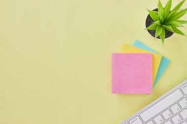 Top View 3 Stick Note ve Klavye ve Ofis Bitkileri Ofis Masasında veya Ofis Masası Arkaplanında. Sarı Minimalist Arkaplan Ofis Malzemeleri