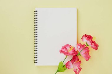 Spiral Notebook veya Spring Notebook in Unline Type and Red Flower on Pastel Yellow Minimalist Arkaplan. Spiral Not Defteri Orta Çerçeve 'ye uydur