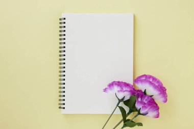 Spiral Notebook ya da Spring Notebook in Unline Type ve Violet Flower on Pastel Yellow Minimalist Arka plan. Spiral Not Defteri Orta Çerçeve 'ye uydur