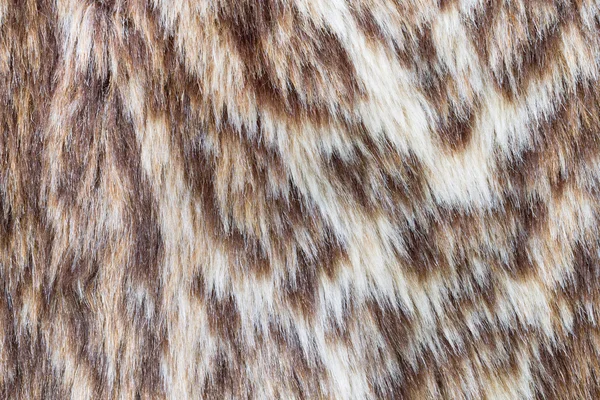 Мех леопарда или дикого кота — стоковое фото